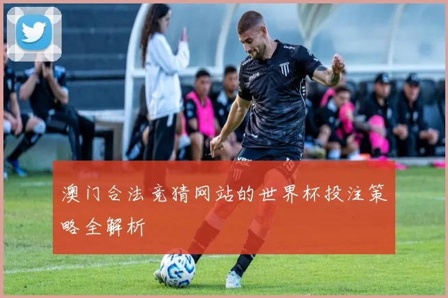 澳门合法竞猜网站的世界杯投注策略全解析