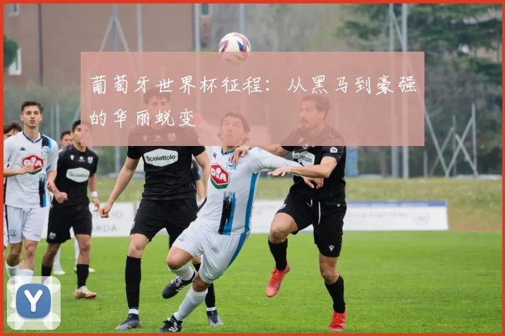 葡萄牙世界杯征程：从黑马到豪强的华丽蜕变
