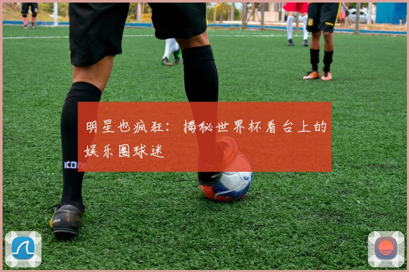 明星也疯狂：揭秘世界杯看台上的娱乐圈球迷